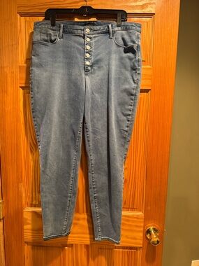 Talbots Light Blue High-Rise Button-Fly Jegging Jeans Size 16